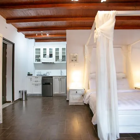 Apartment Traditional Plagiaki *