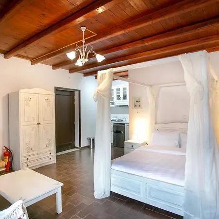 Apartment Traditional Plagiaki Neo Oitilo